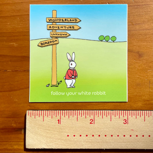 Cartoon rabbit standing next to a signpost with directional arrows on a wooden surface. It says "follow your white rabbit."