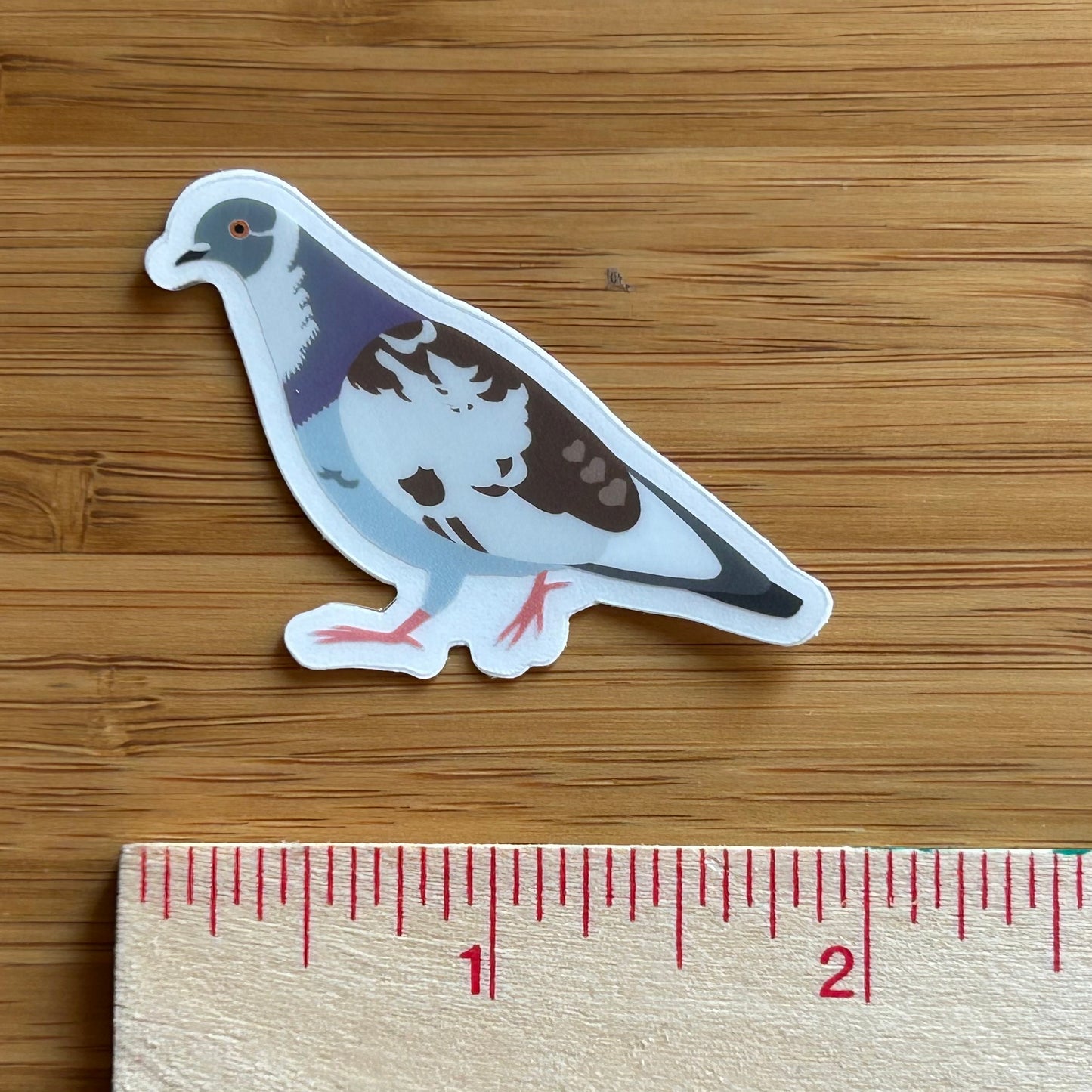 Unique patchwork pigeon clear sticker next to ruler for scale.