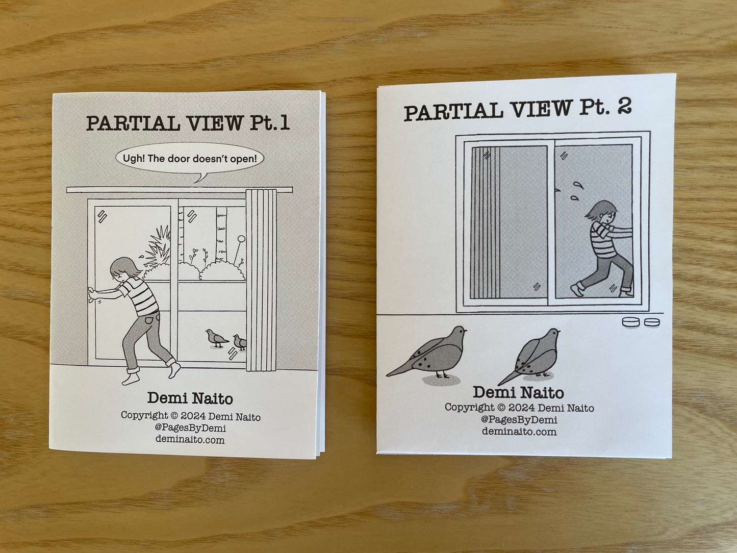 Front and back covers of zine, 'Partial View' by Demi Naito showing same scene, but different perspective.