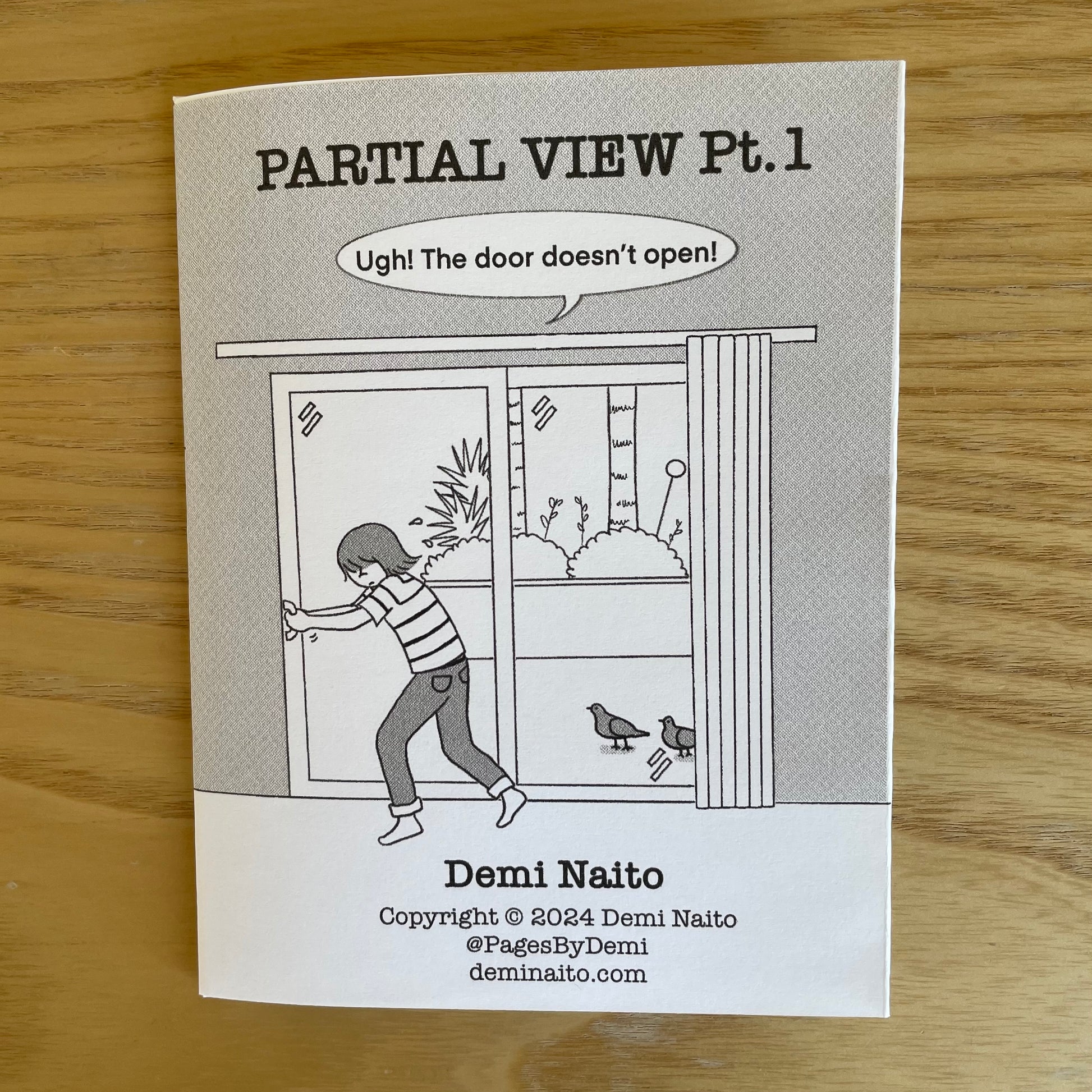 Front cover of zine titled 'Partial View Pt. 1' by Demi Naito showing woman who can't open sliding door as birds watch.